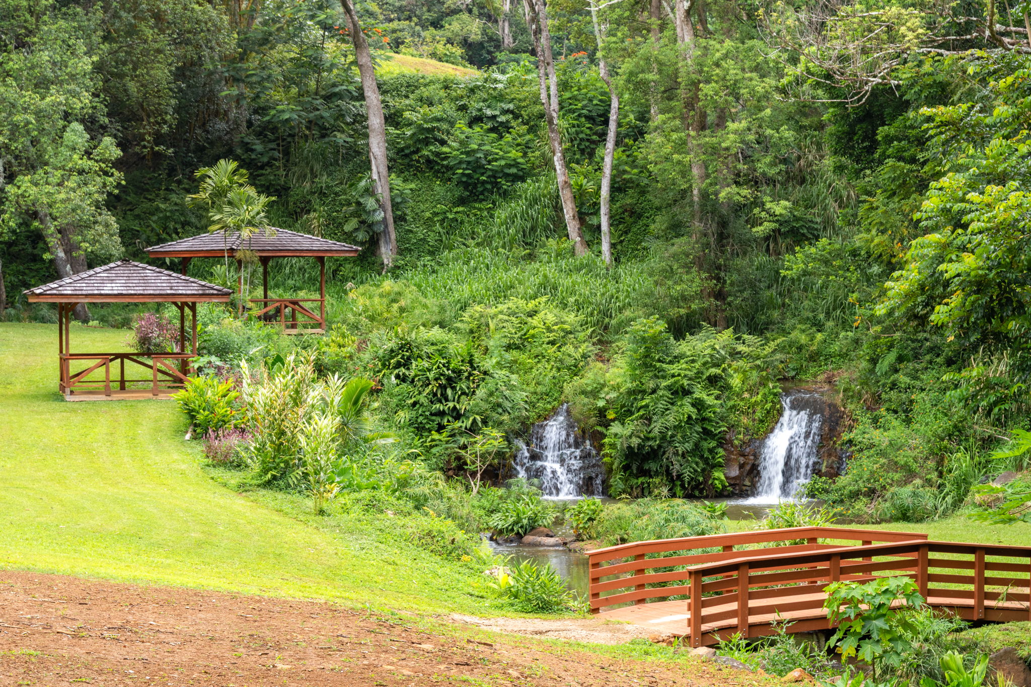 83 B Hauiki Road Kapaa, HI 96746 - Photo 5 of 30 a view of a garden with lawn chairs under an umbrella