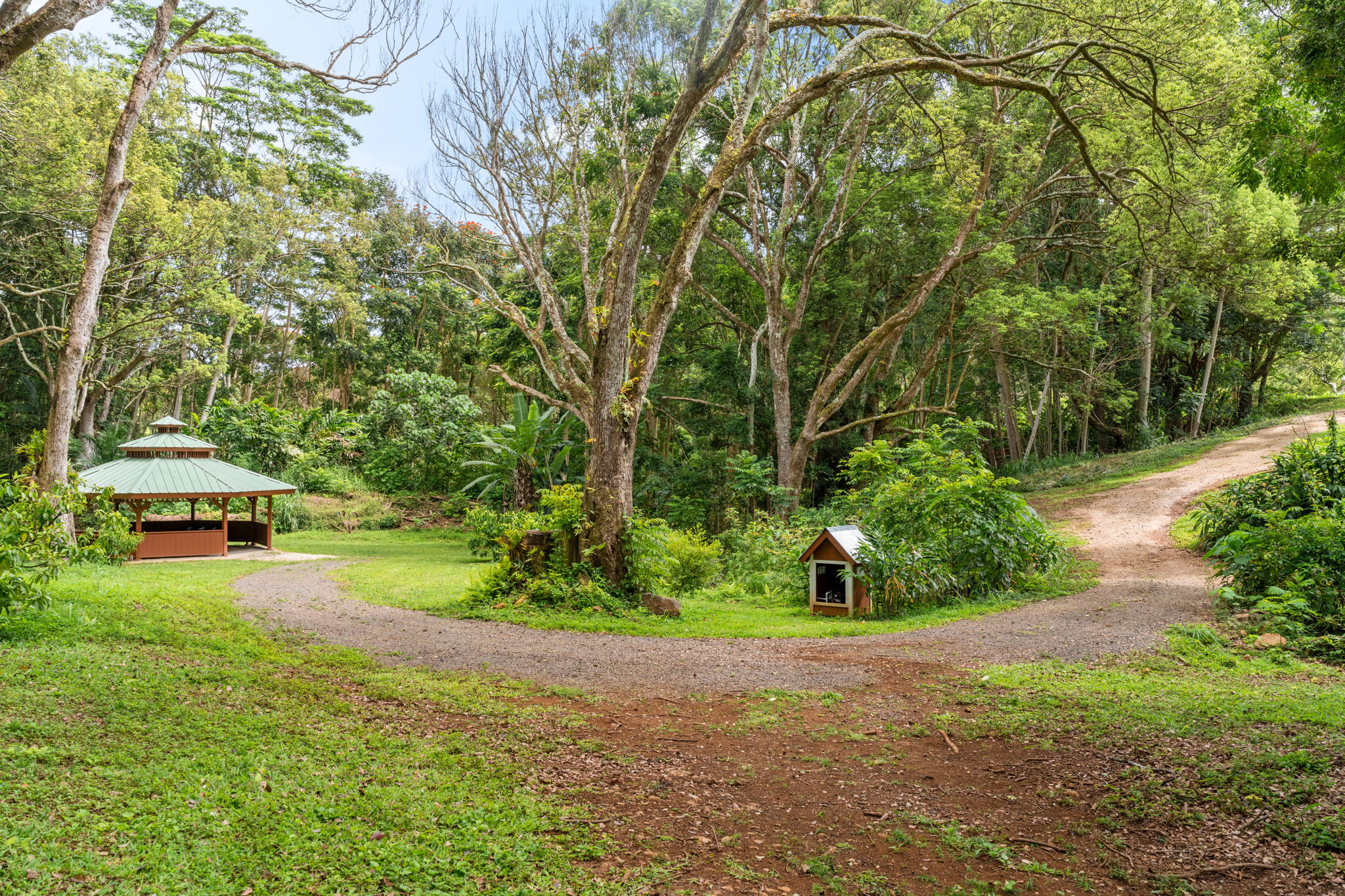 83 B Hauiki Road Kapaa, HI 96746 - Photo 6 of 30 a view of a yard with plants and large trees