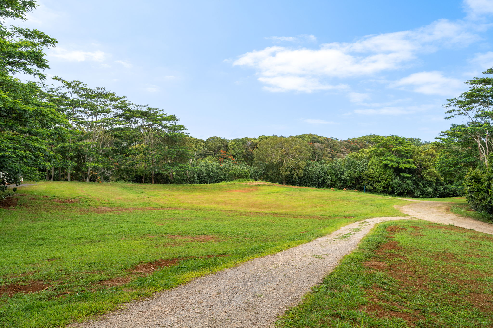 83 B Hauiki Road Kapaa, HI 96746 - Photo 9 of 30 a view of a big yard with a large trees