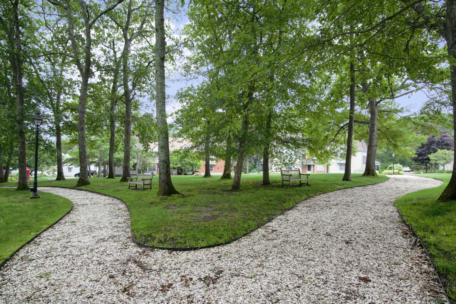15 Hampton Court, Unit 15 Mashpee, MA 02649 - Photo 29 of 33 a view of a garden with trees