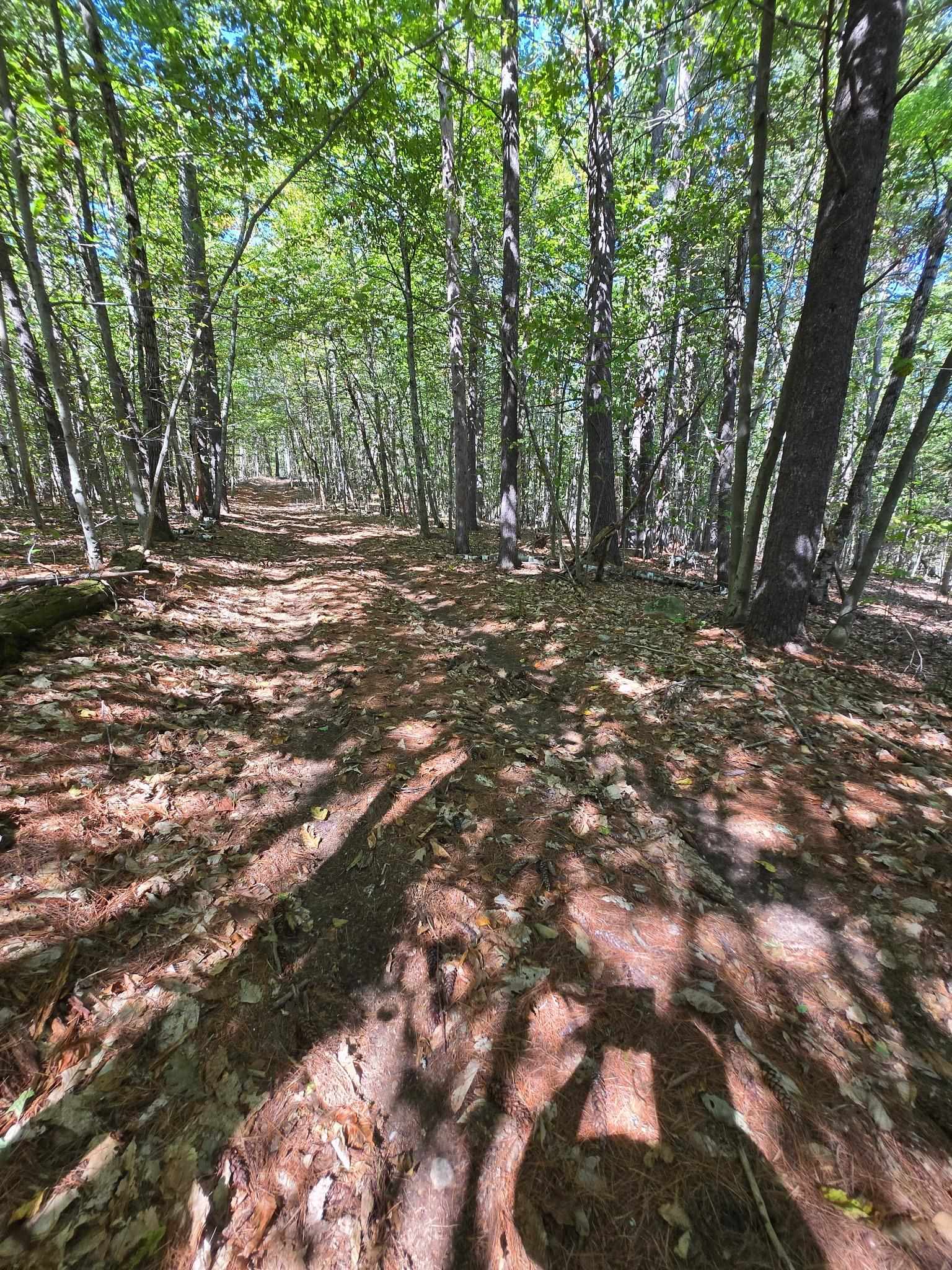0 Grove Road New Durham, NH 03855 - Photo 2 of 4