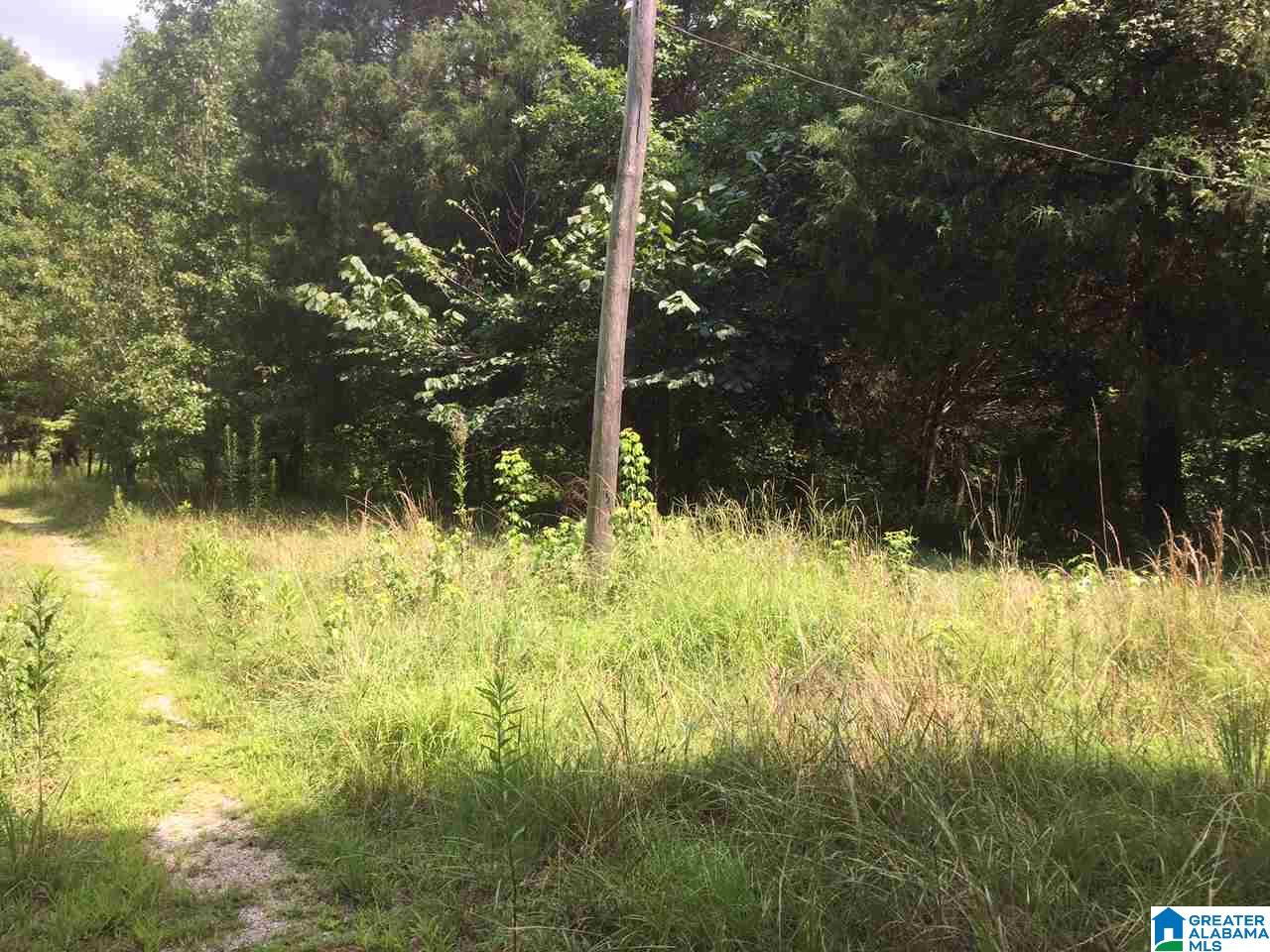 342 Ronbar Road Columbiana, AL 35051 - Photo 9 of 10