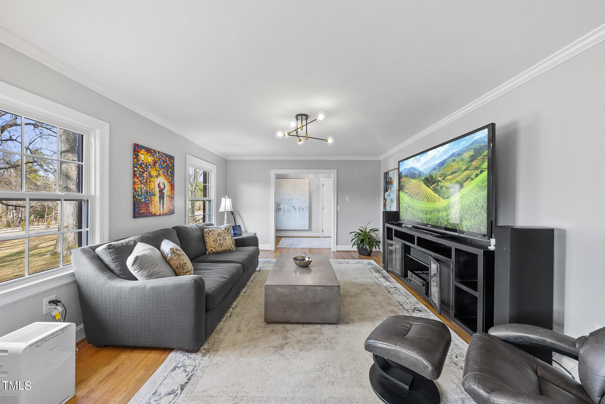 410 Goodwin Road Durham, NC 27712 - Photo 6 of 31 a living room with furniture and a flat screen tv
