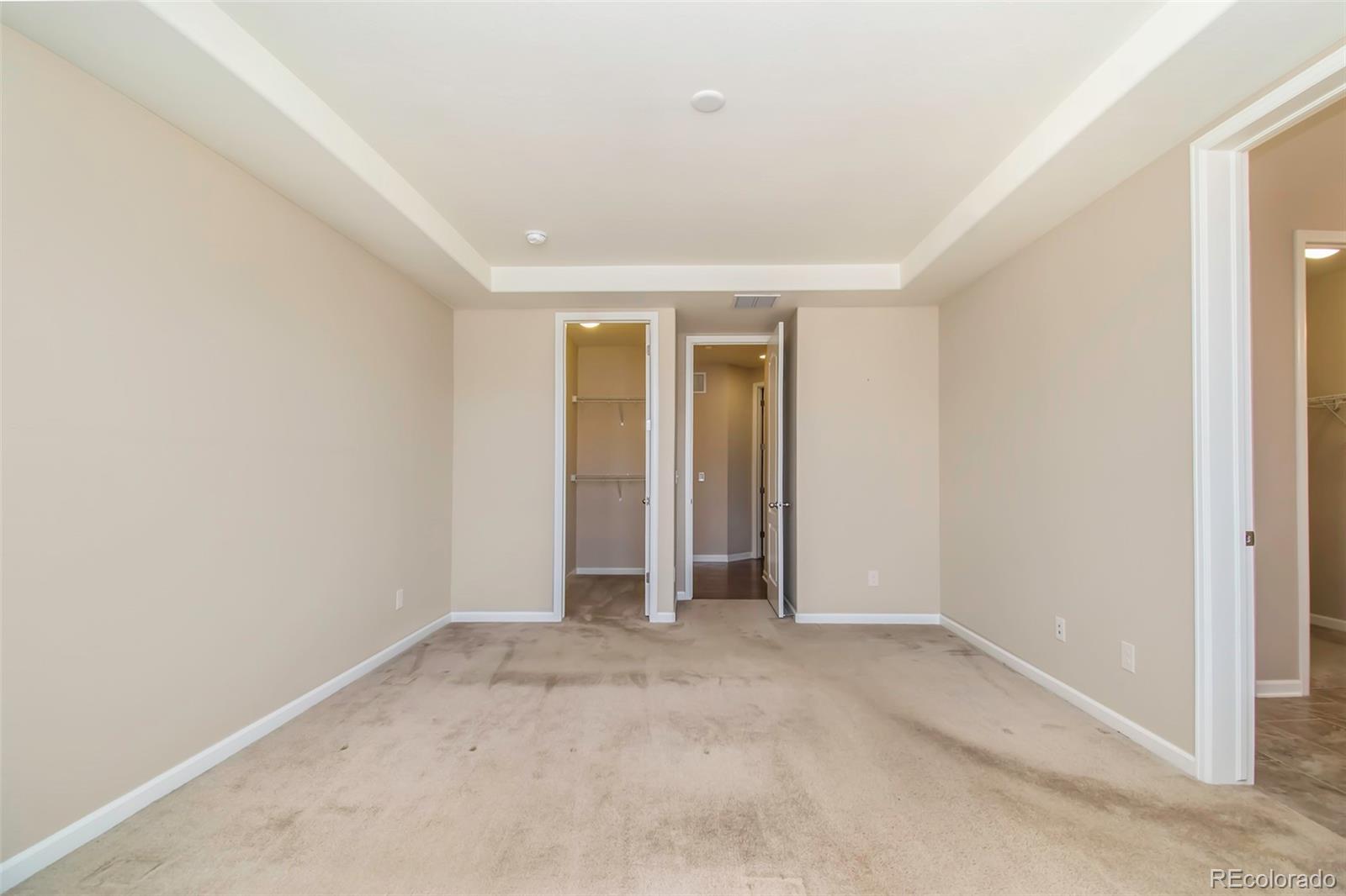 2737 Rising Moon Way Castle Rock, CO 80109 - Photo 13 of 20 Gallery Image 13