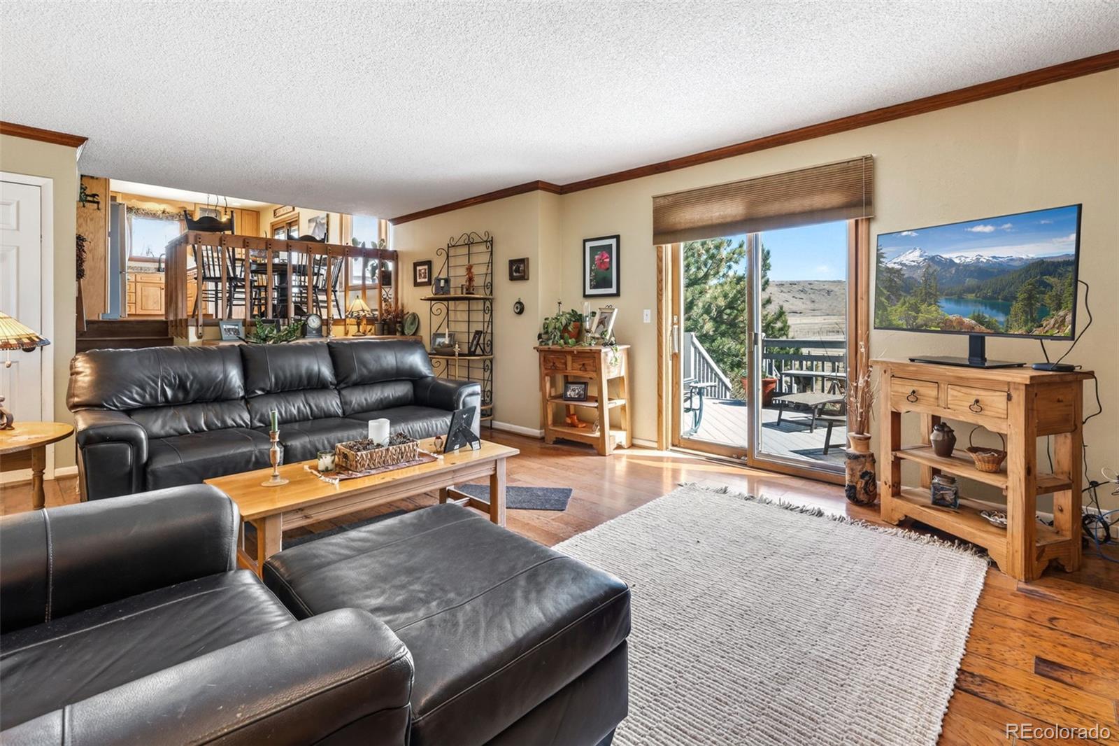 12360 South Mesa View Road Larkspur, CO 80118 - Photo 13 of 50 a living room with furniture and a flat screen tv