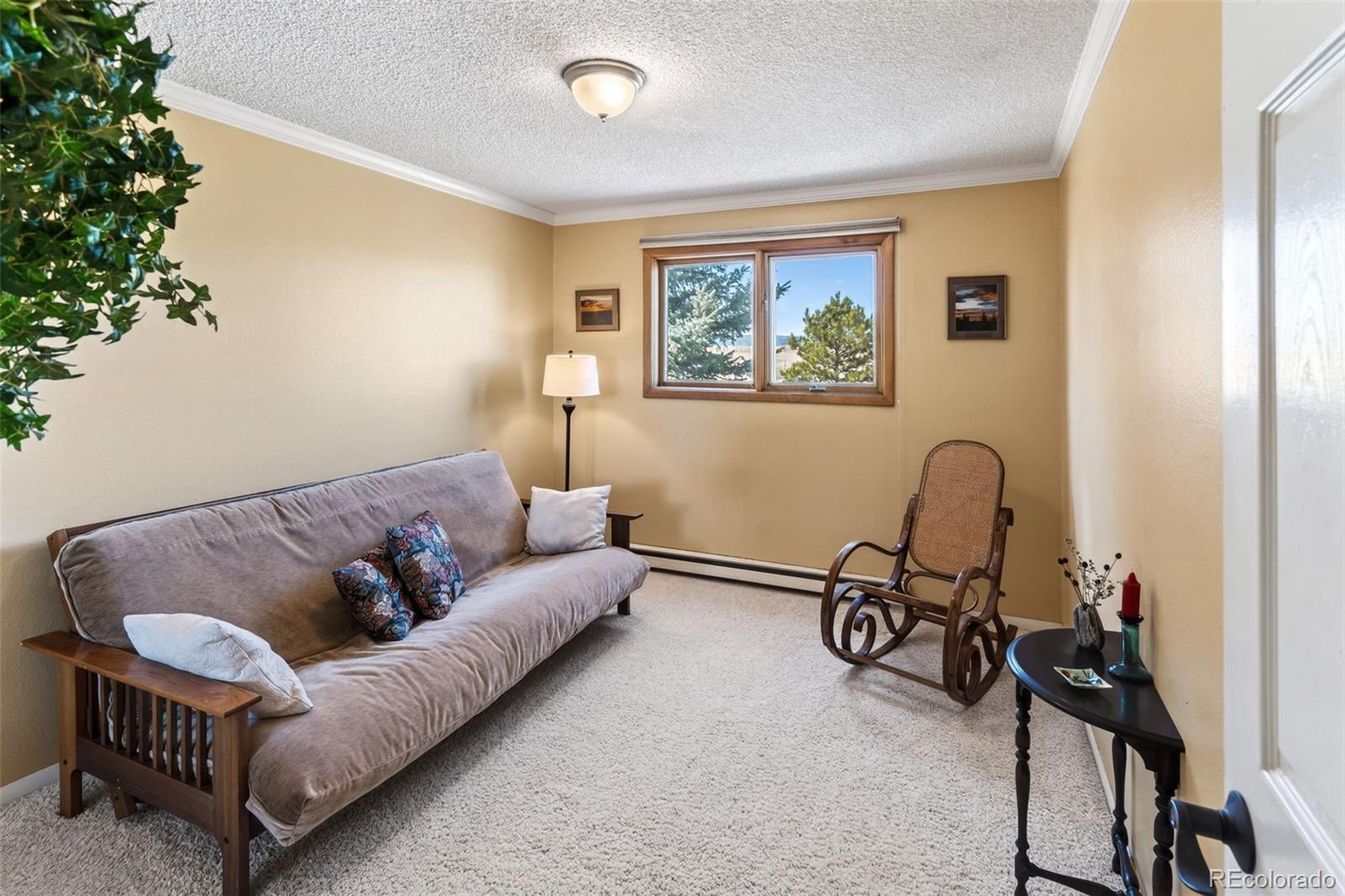 12360 South Mesa View Road Larkspur, CO 80118 - Photo 19 of 50 a living room with furniture a window and a potted plant