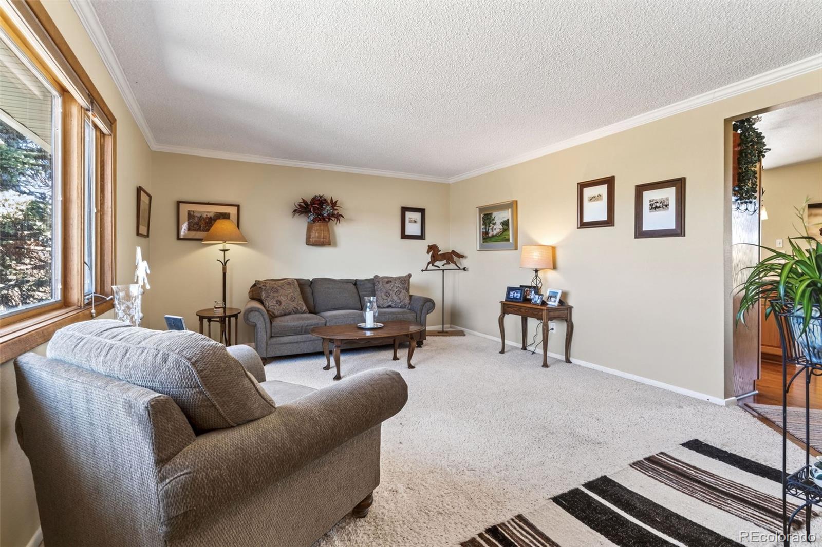12360 South Mesa View Road Larkspur, CO 80118 - Photo 2 of 50 a living room with furniture and a window