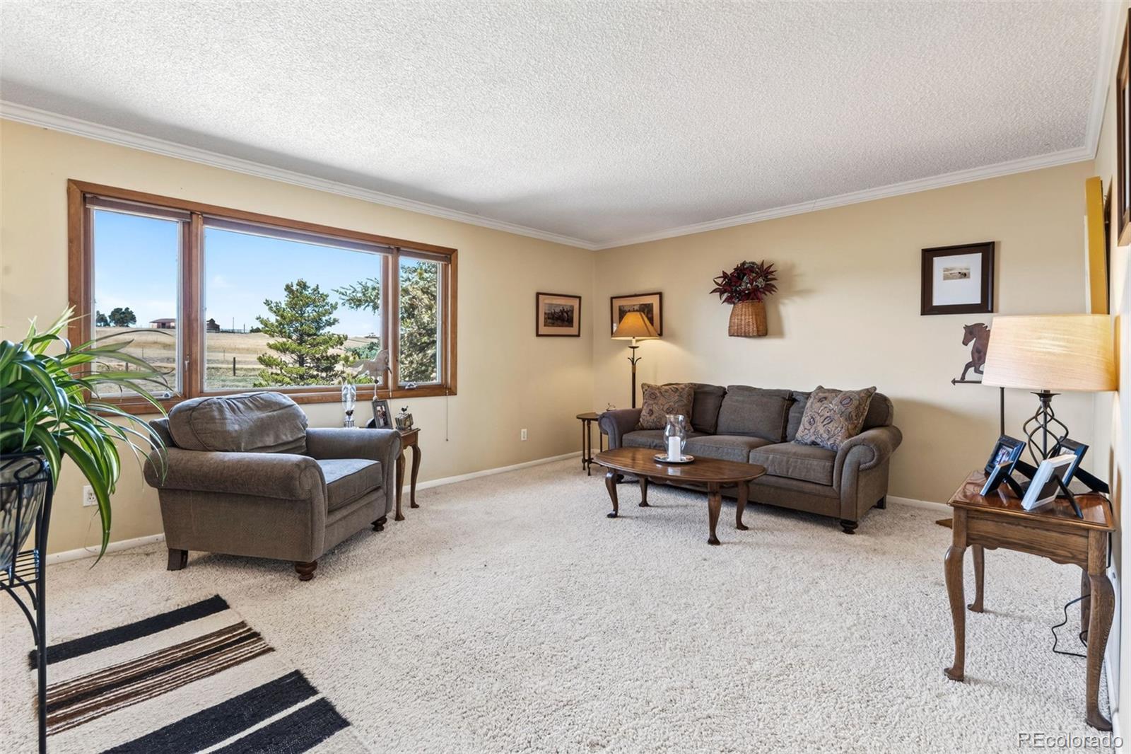 12360 South Mesa View Road Larkspur, CO 80118 - Photo 3 of 50 a living room with furniture and a large window