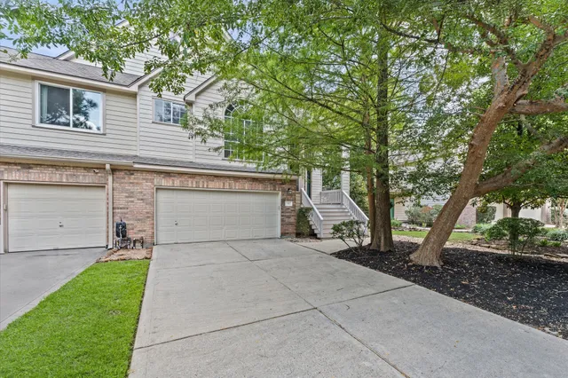 a view of backyard and tree