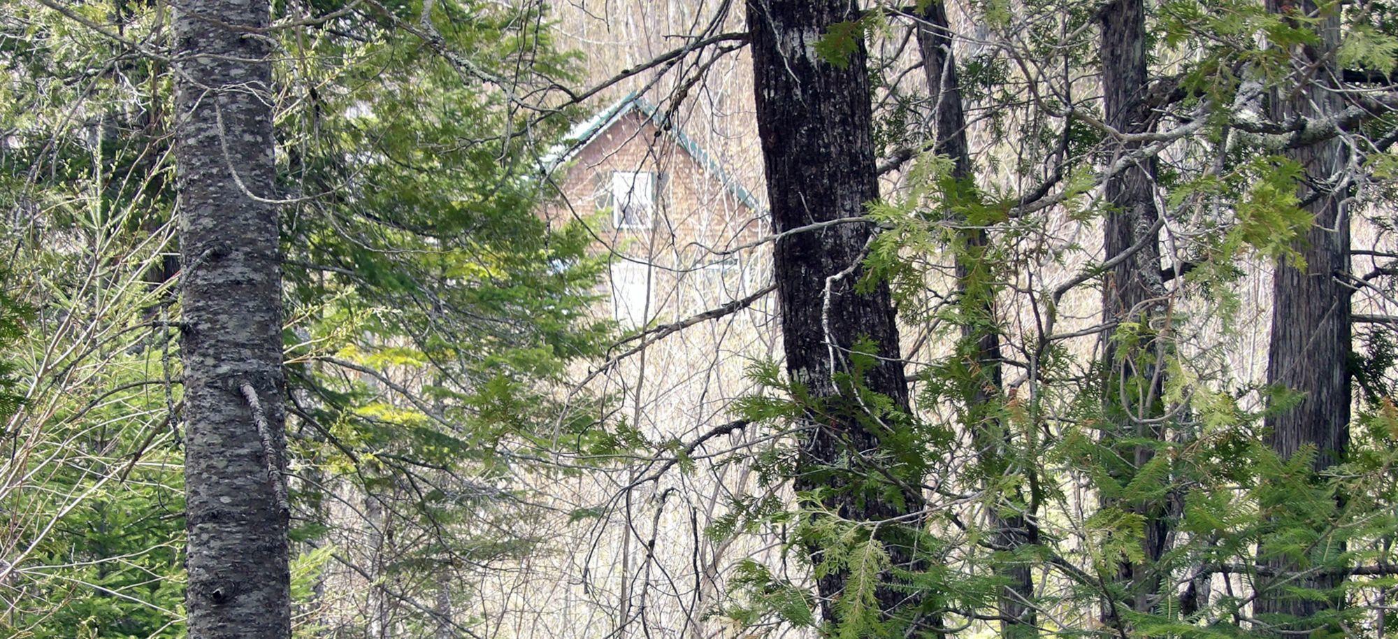 120 Pierce Hill Road Moscow, ME 04920 - Photo 24 of 36 24 View from Street