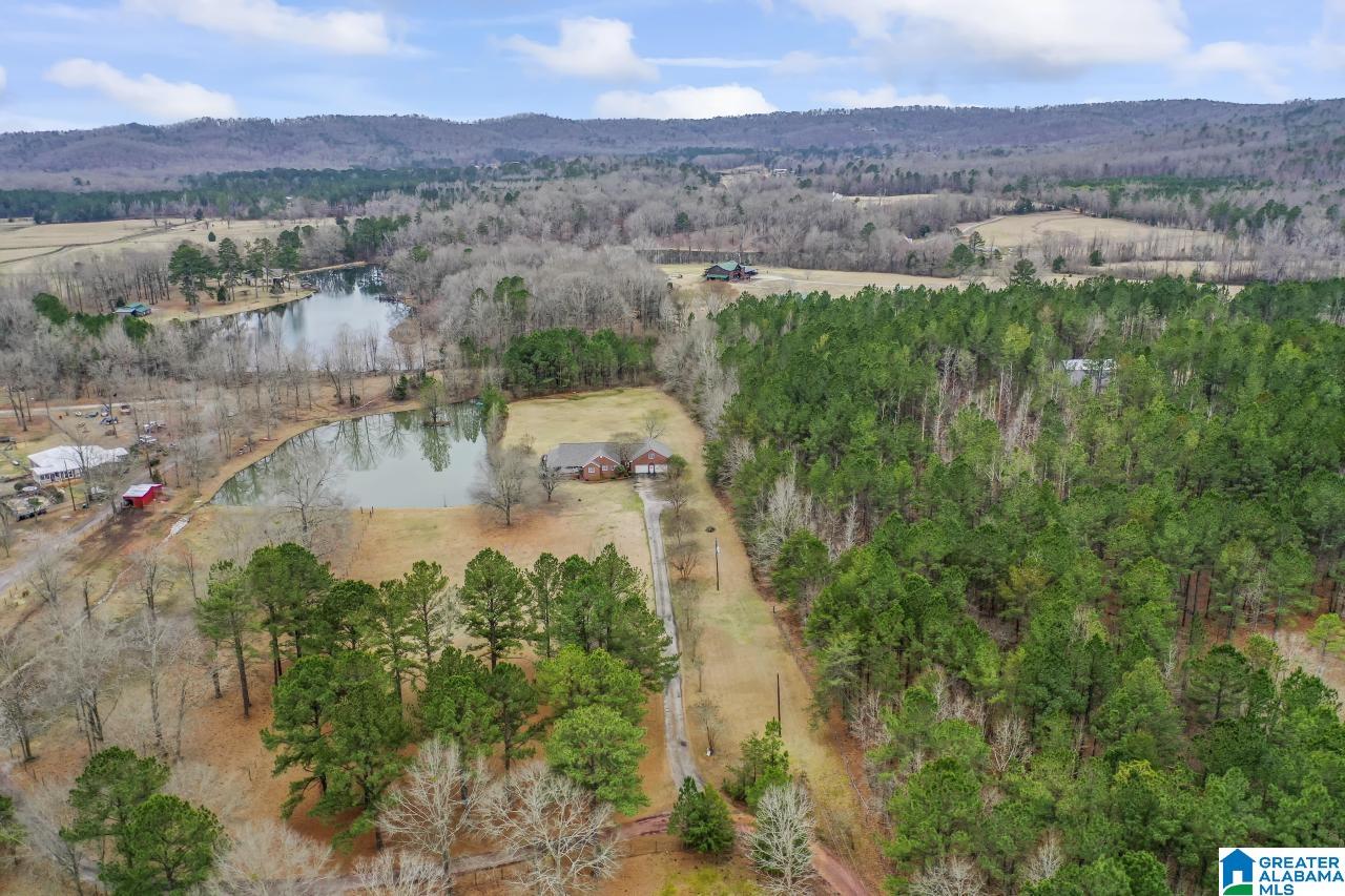 1726 Alston Farm Road Columbiana, AL 35051 - Photo 53 of 61