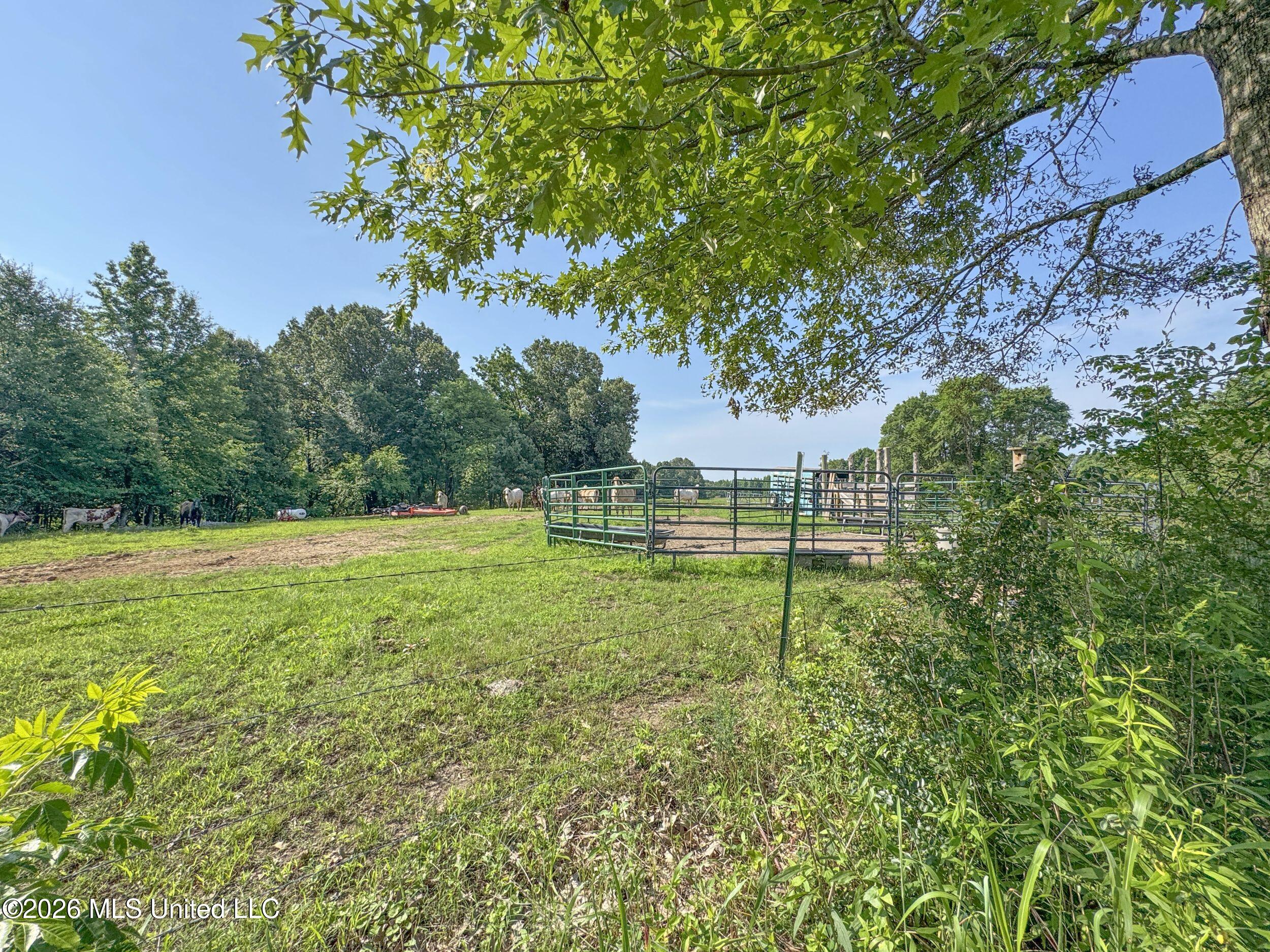 2169 Slocum Road Hernando, MS 38632 - Photo 50 of 94 8slcm7