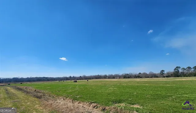 a view of an ocean from a yard