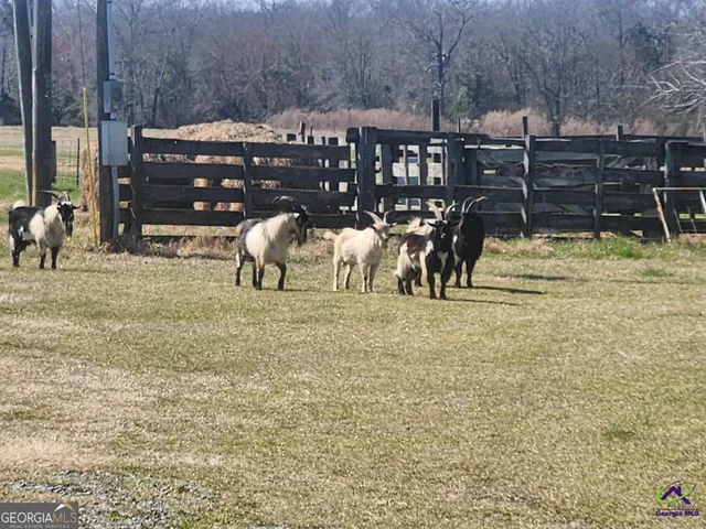 a view of yard with ocean view