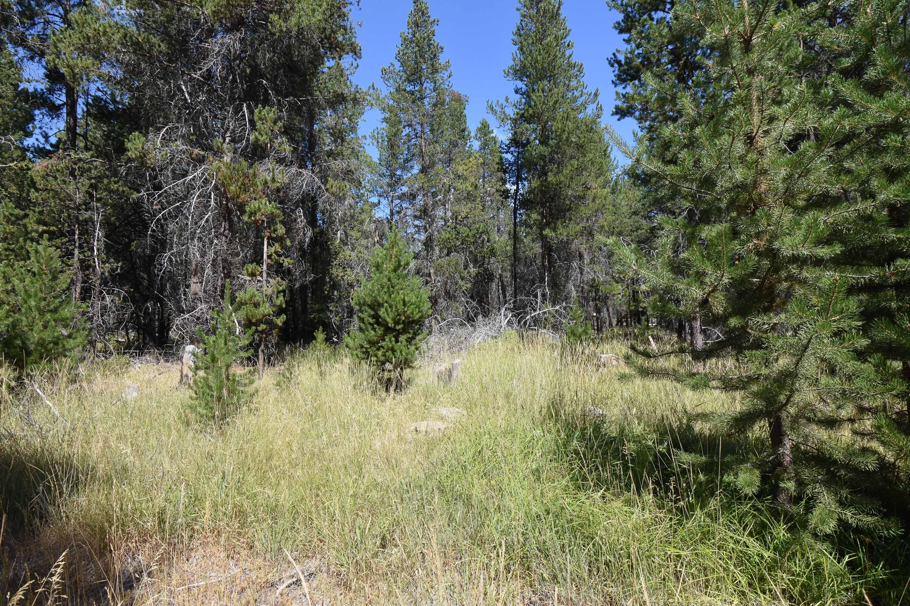 16844 Hermosa Road Bend, OR 97707 - Photo 2 of 7 20200822-DSC_0002
