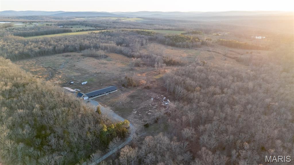 4800 Pebble Lane Farmington, MO 63640 - Photo 51 of 60