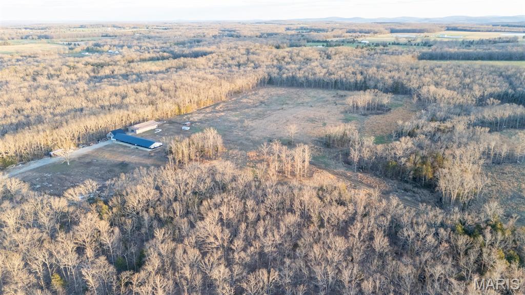 4800 Pebble Lane Farmington, MO 63640 - Photo 52 of 60