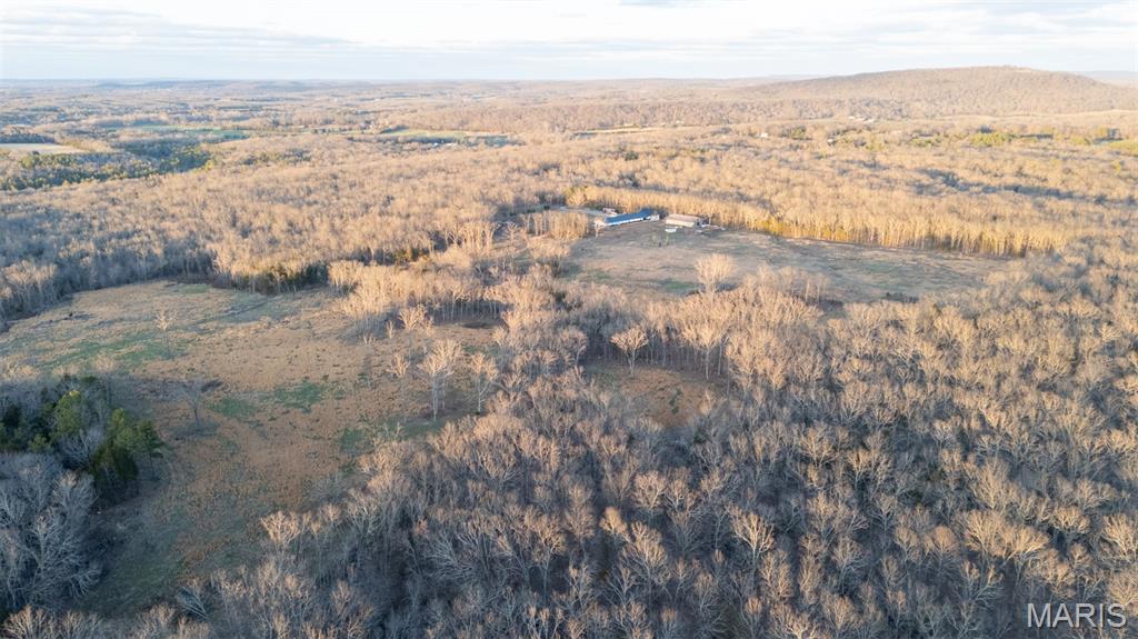 4800 Pebble Lane Farmington, MO 63640 - Photo 54 of 60