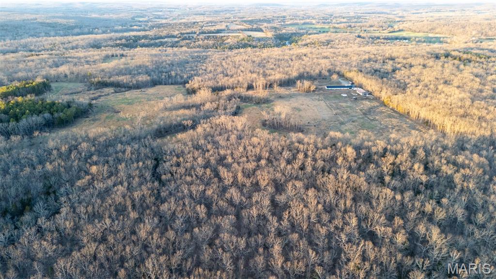 4800 Pebble Lane Farmington, MO 63640 - Photo 55 of 60