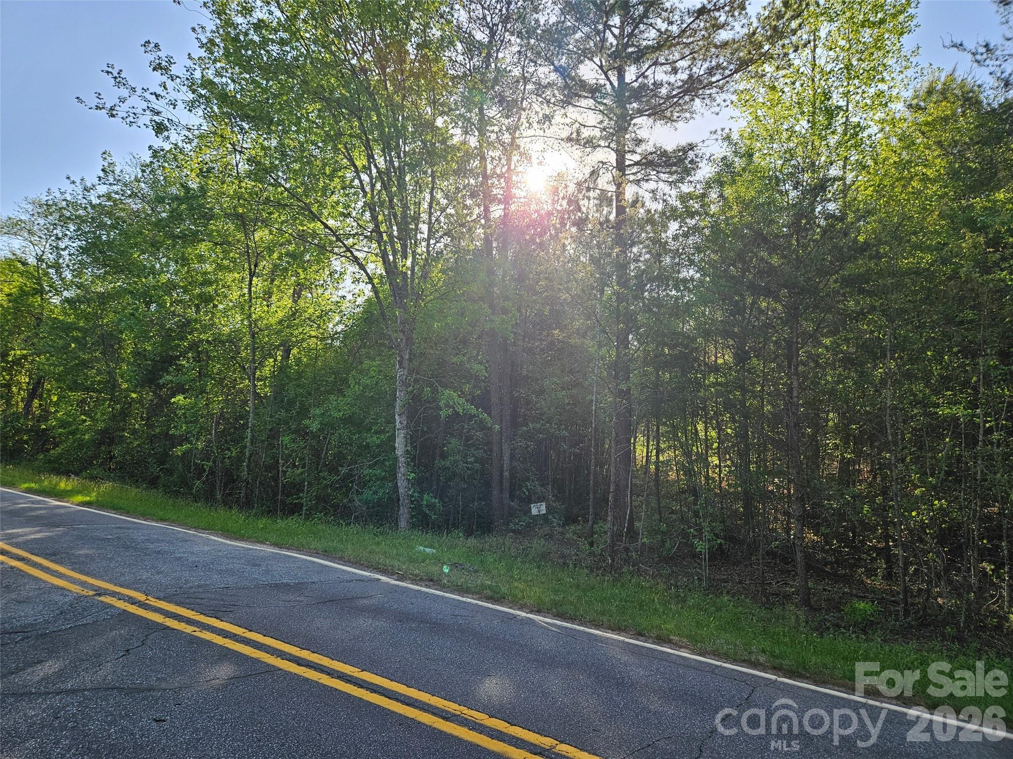0 Old Hollis Road, Unit 2 Ellenboro, NC 28040 - Photo 3 of 15