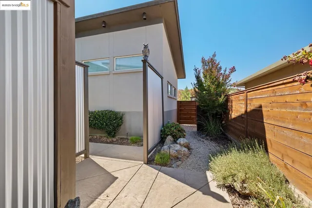 a view of backyard with potted plants