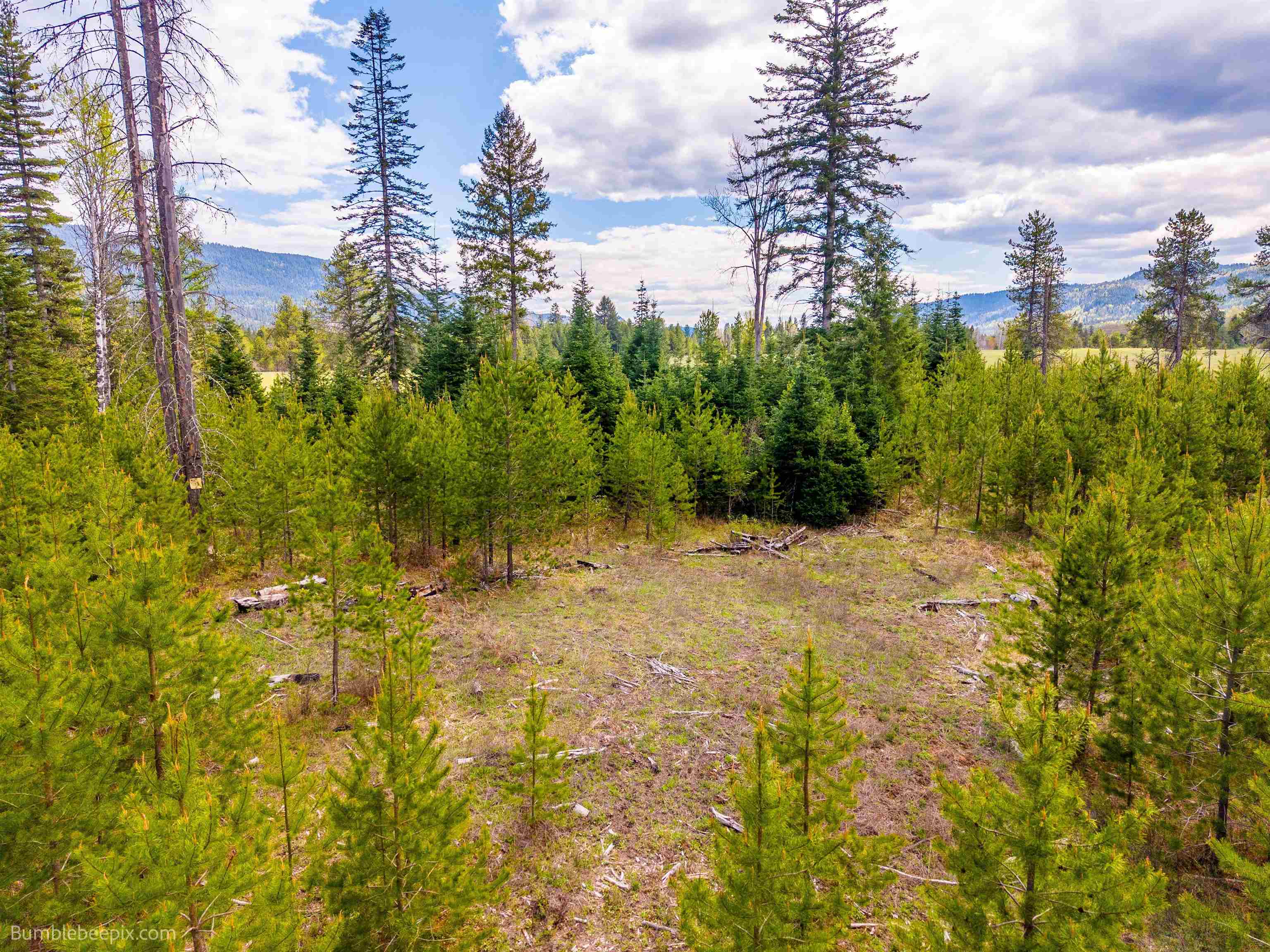 Nkn Nkn Evergreen Road Cusick, WA 99119 - Photo 11 of 14