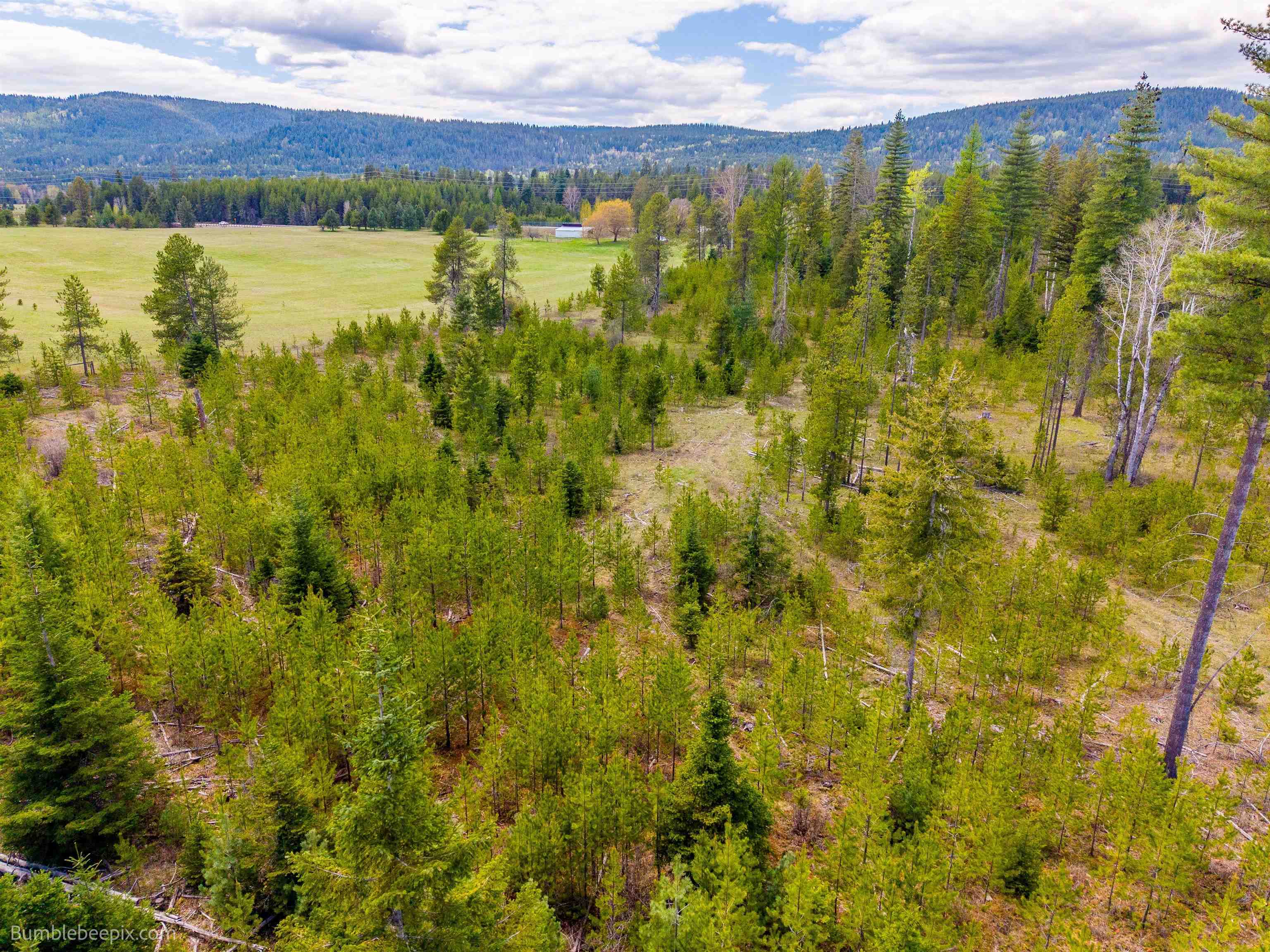 Nkn Nkn Evergreen Road Cusick, WA 99119 - Photo 6 of 14