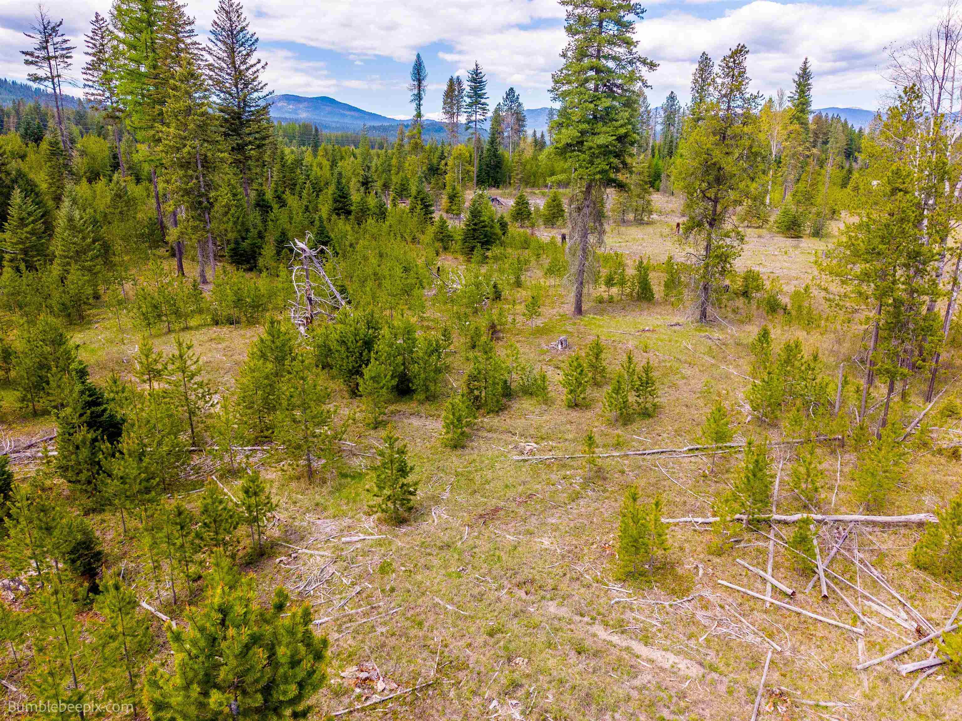 Nkn Nkn Evergreen Road Cusick, WA 99119 - Photo 8 of 14
