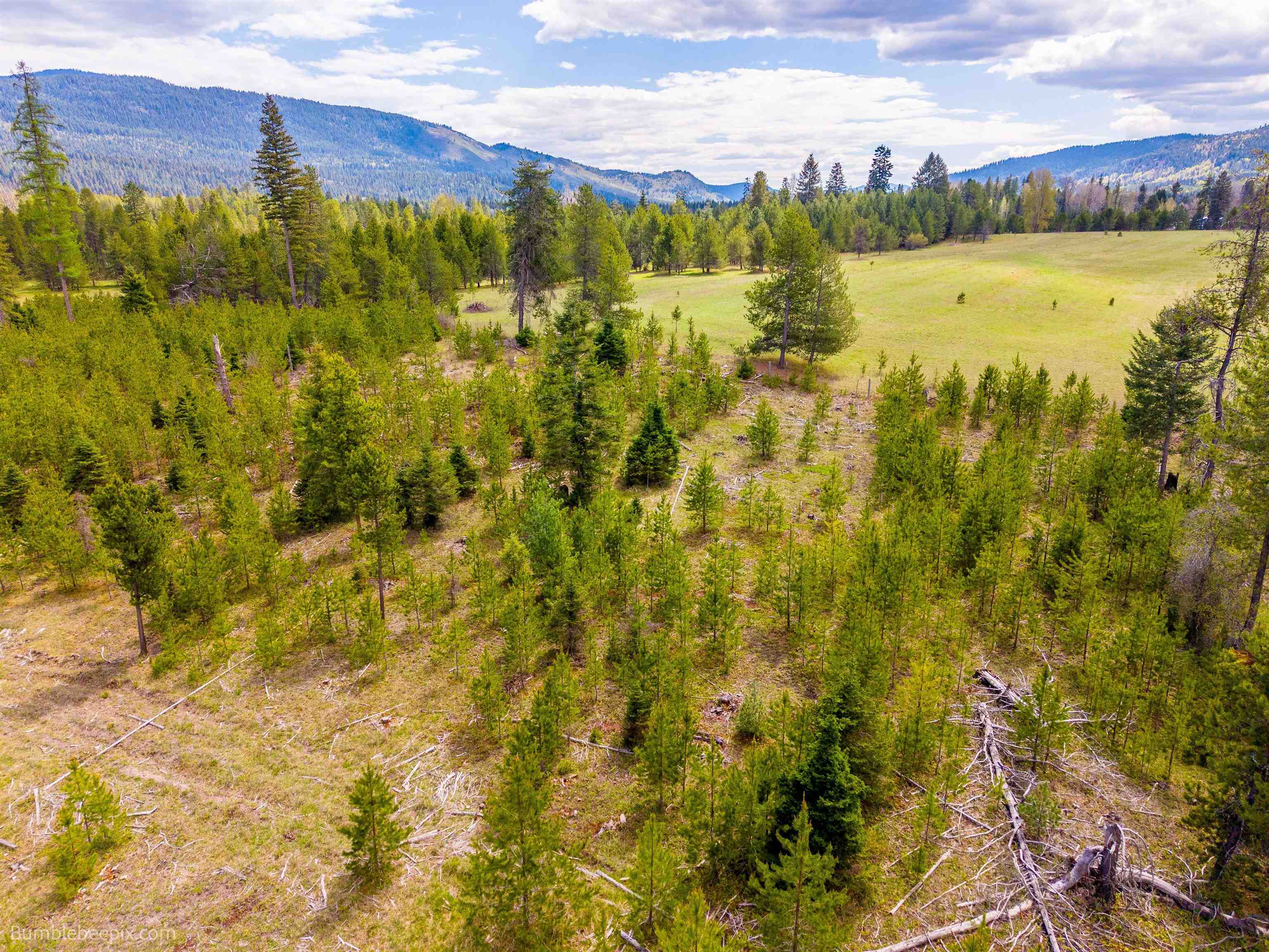 Nkn Nkn Evergreen Road Cusick, WA 99119 - Photo 9 of 14