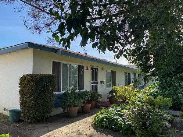 a view of a house with potted plants and a tree