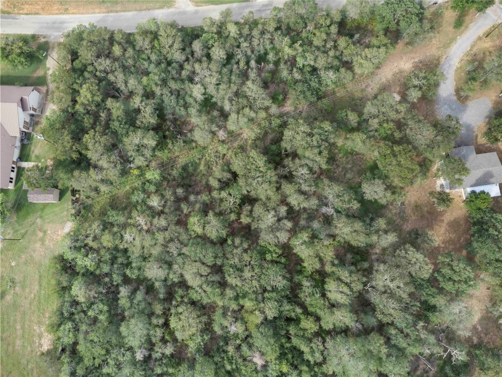 St-johns St Johns Road Dale, TX 78616 - Photo 11 of 14 a view of a forest with houses