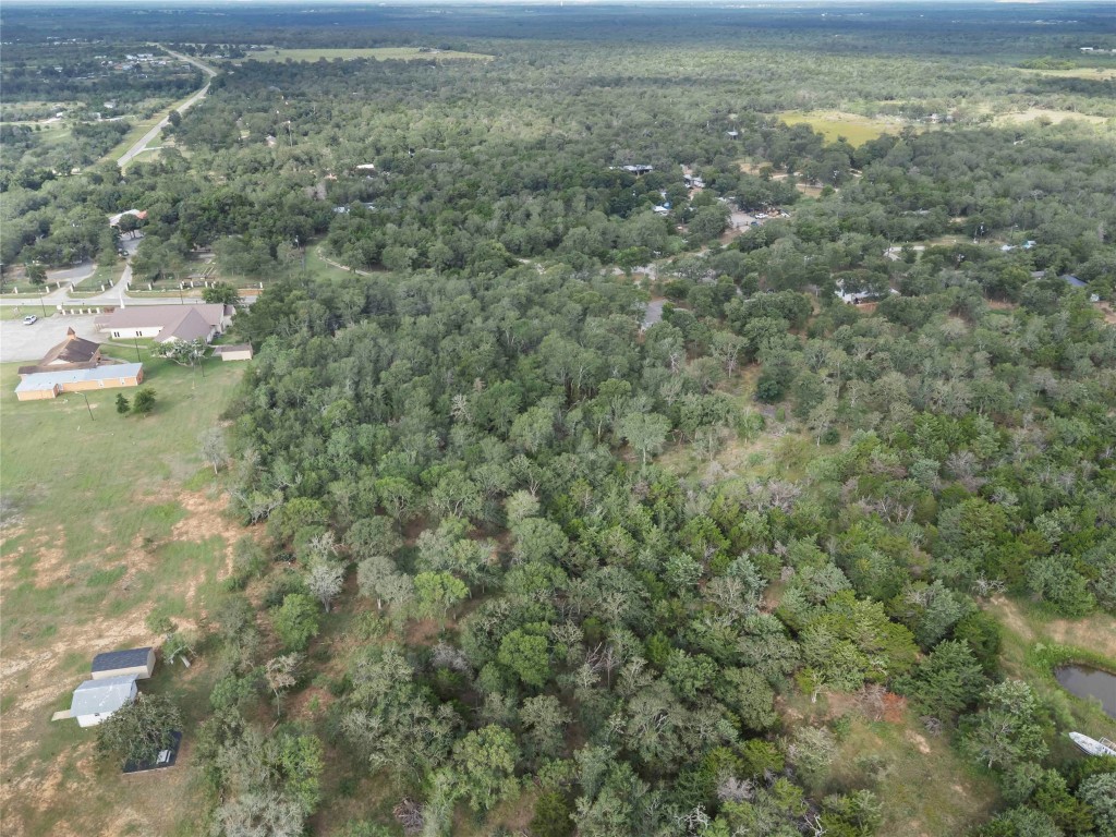 St-johns St Johns Road Dale, TX 78616 - Photo 7 of 14