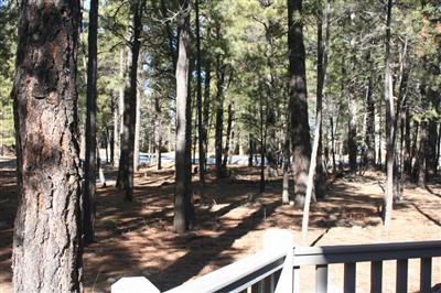 21 Griffiths Spring Flagstaff, AZ 86005 - Photo 8 of 10 Additional Photo