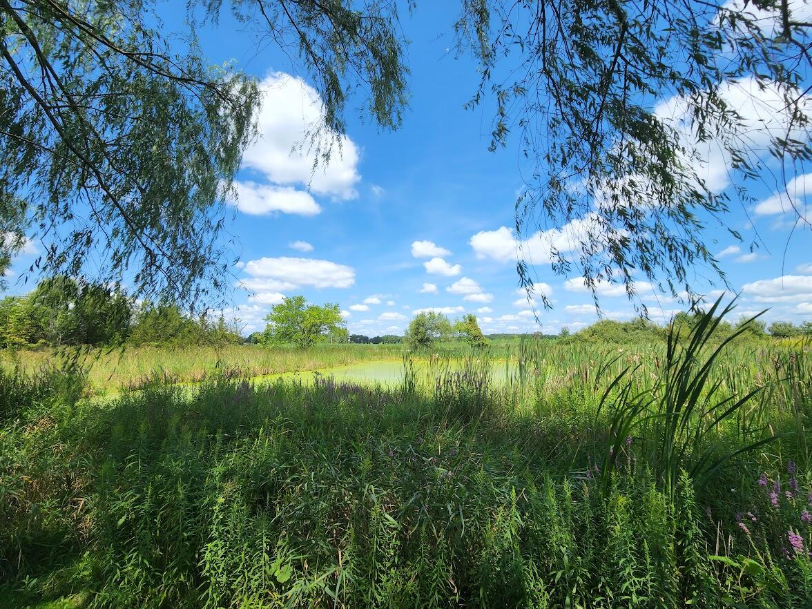 5575 Doty Road Osseo, MI 49266 - Photo 44 of 65 d59