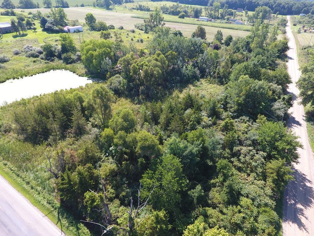 5575 Doty Road Osseo, MI 49266 - Photo 53 of 65 d8