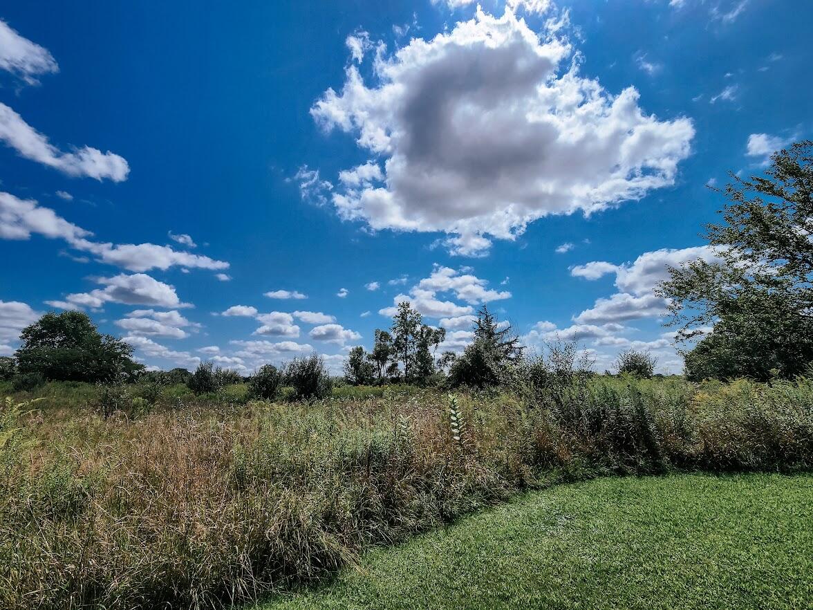 5575 Doty Road Osseo, MI 49266 - Photo 64 of 65 d21