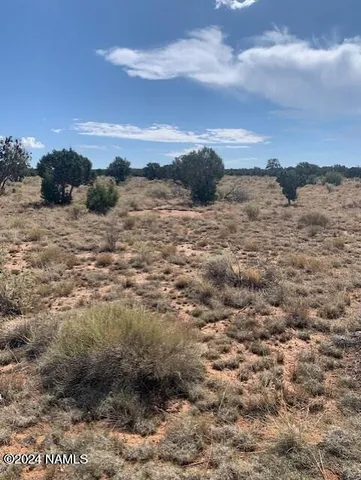 a view of a lake with mountain