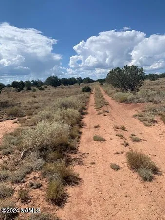 $21,600 | 0 South Gln Spg Lane, Williams, AZ 86046