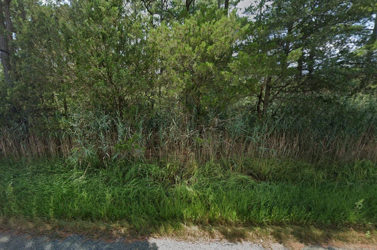 30224 Marumsco Road Marion Station, MD 21838 - Photo 4 of 9 a view of a lush green forest