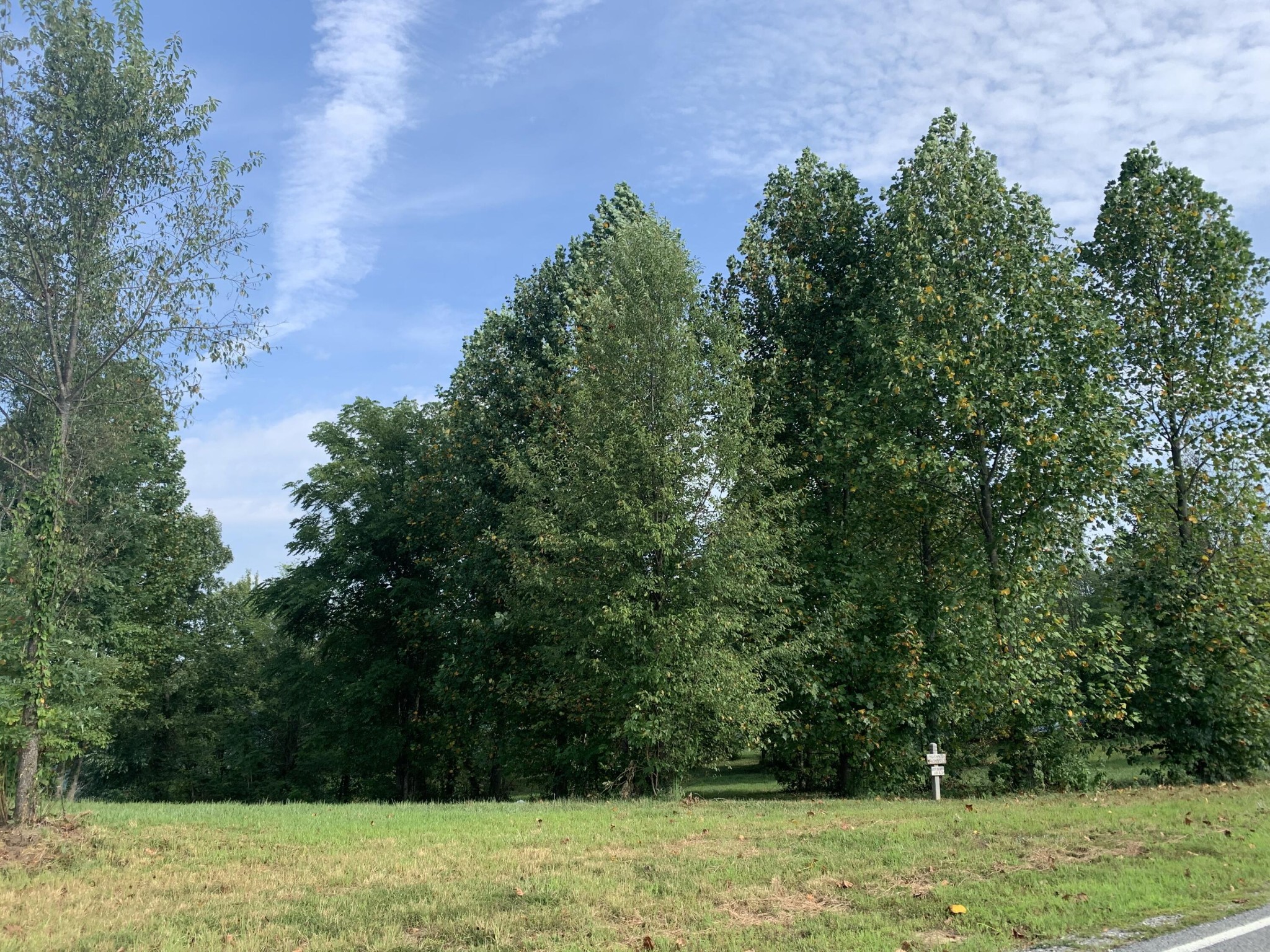 755 Sunset Circle Jasper, TN 37347 - Photo 13 of 44 a view of outdoor space with green field and trees around