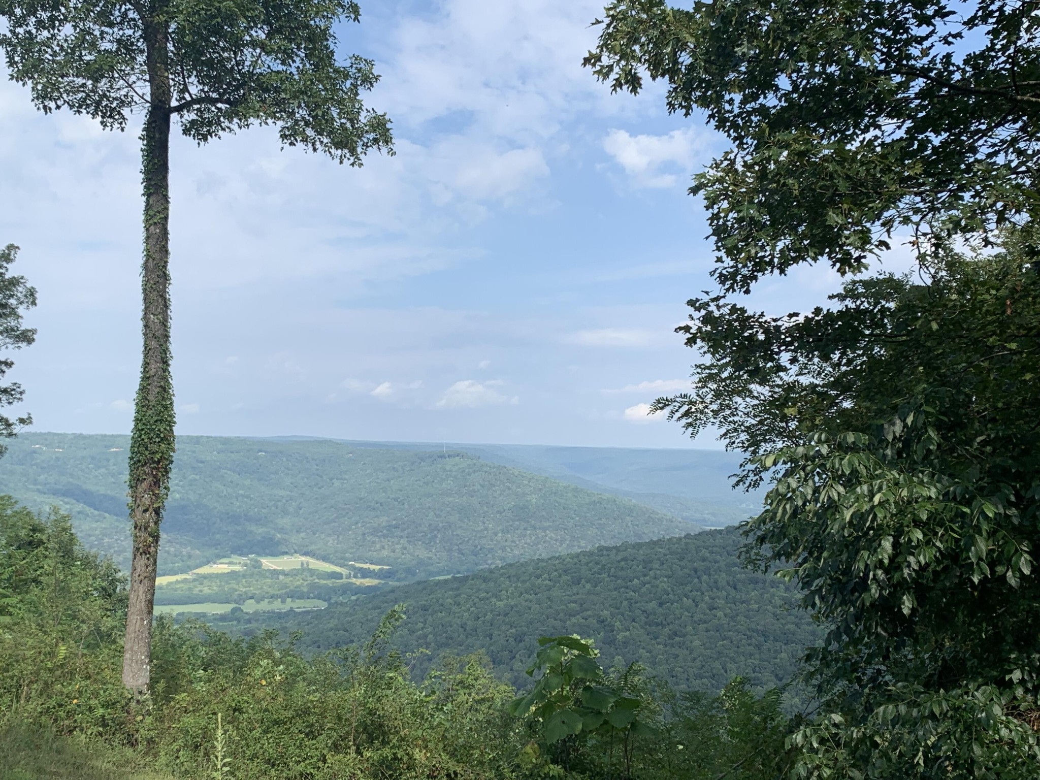 755 Sunset Circle Jasper, TN 37347 - Photo 19 of 44 a view of an outdoor space and yard