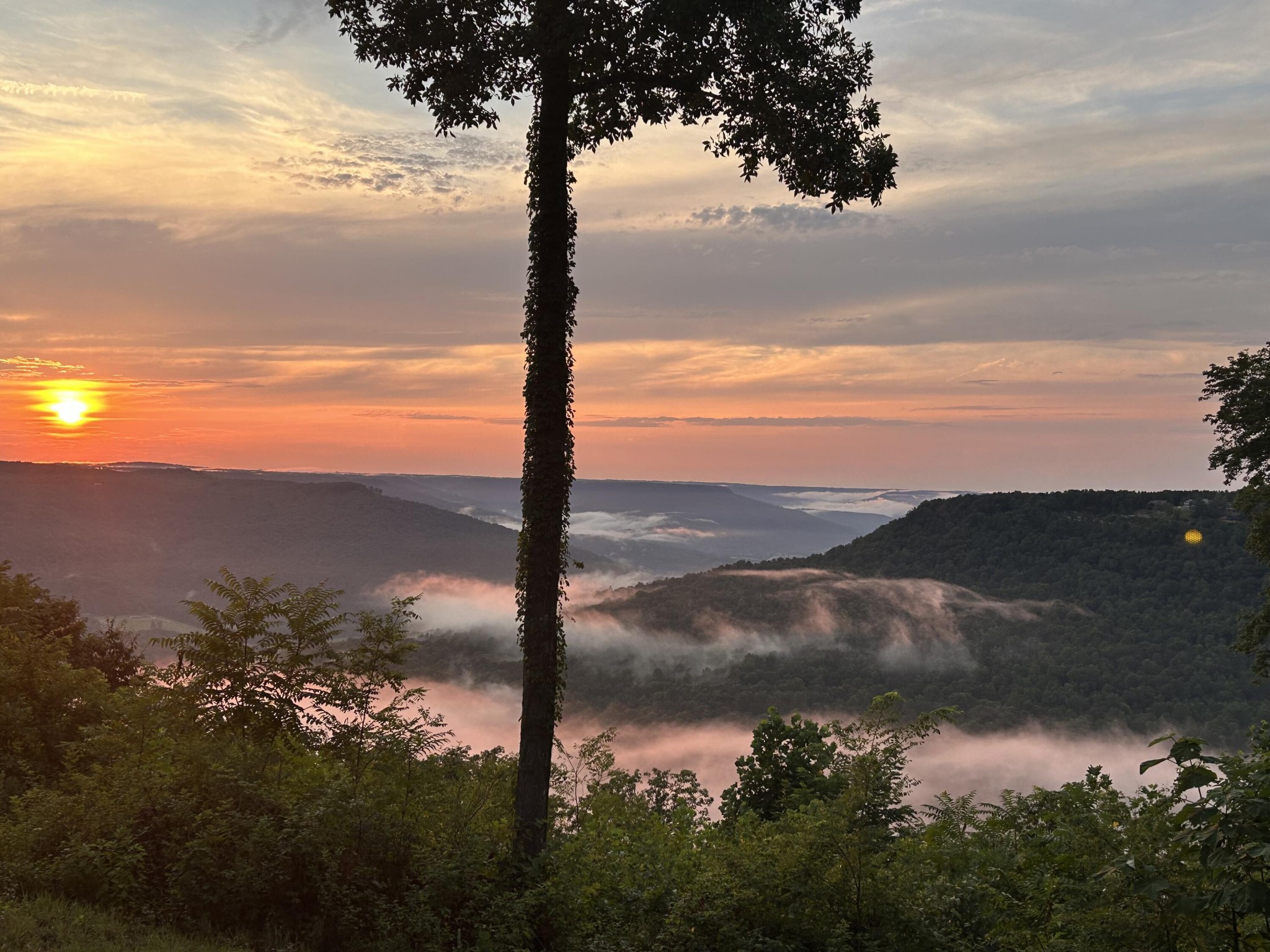 755 Sunset Circle Jasper, TN 37347 - Photo 2 of 44 a view of a lake