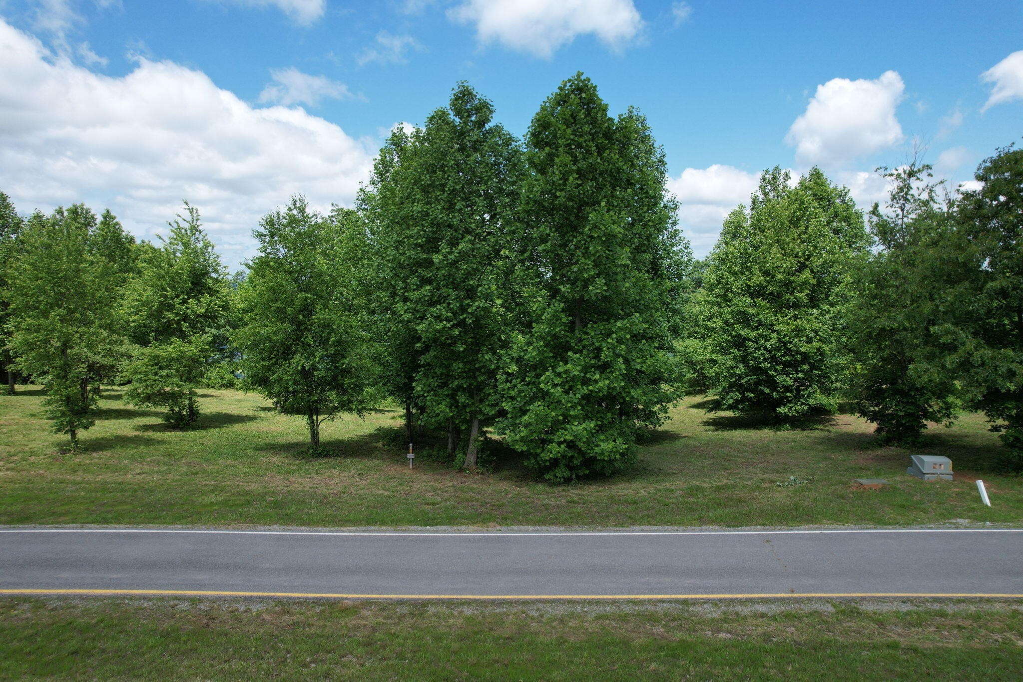 755 Sunset Circle Jasper, TN 37347 - Photo 22 of 44 a view of a yard