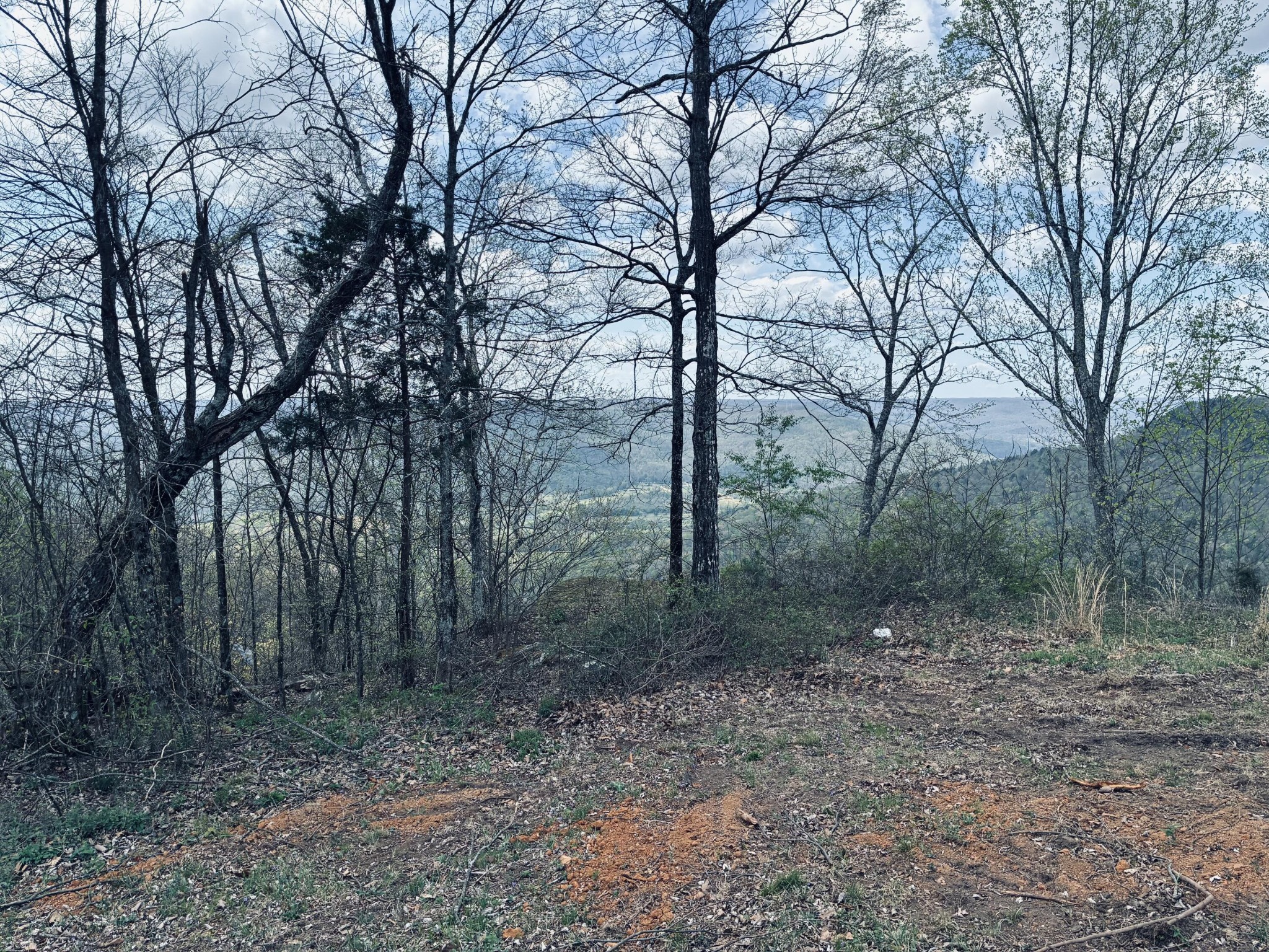755 Sunset Circle Jasper, TN 37347 - Photo 30 of 48 a view of a forest with trees in the background