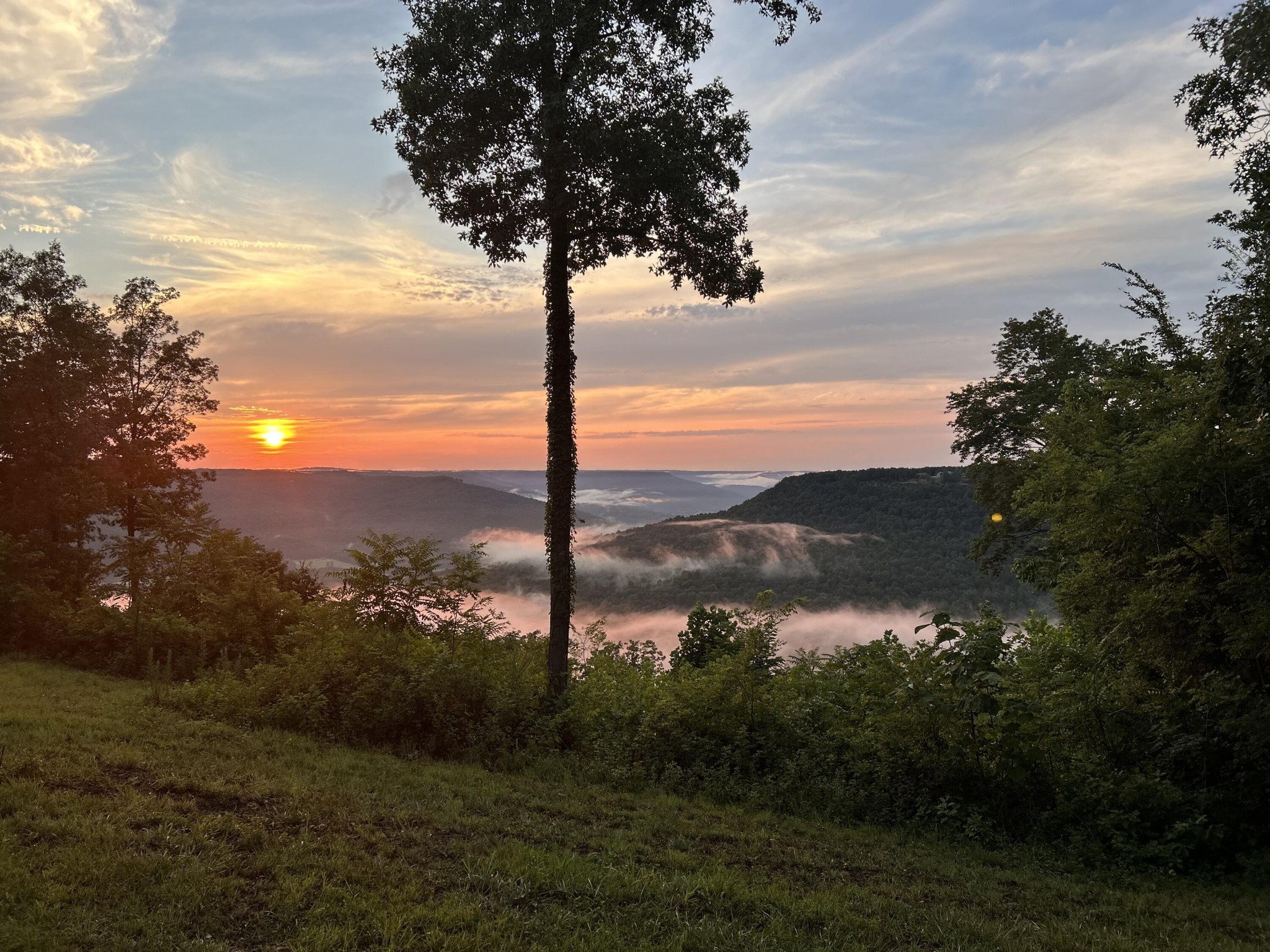 755 Sunset Circle Jasper, TN 37347 - Photo 3 of 44 a view of lake with mountain