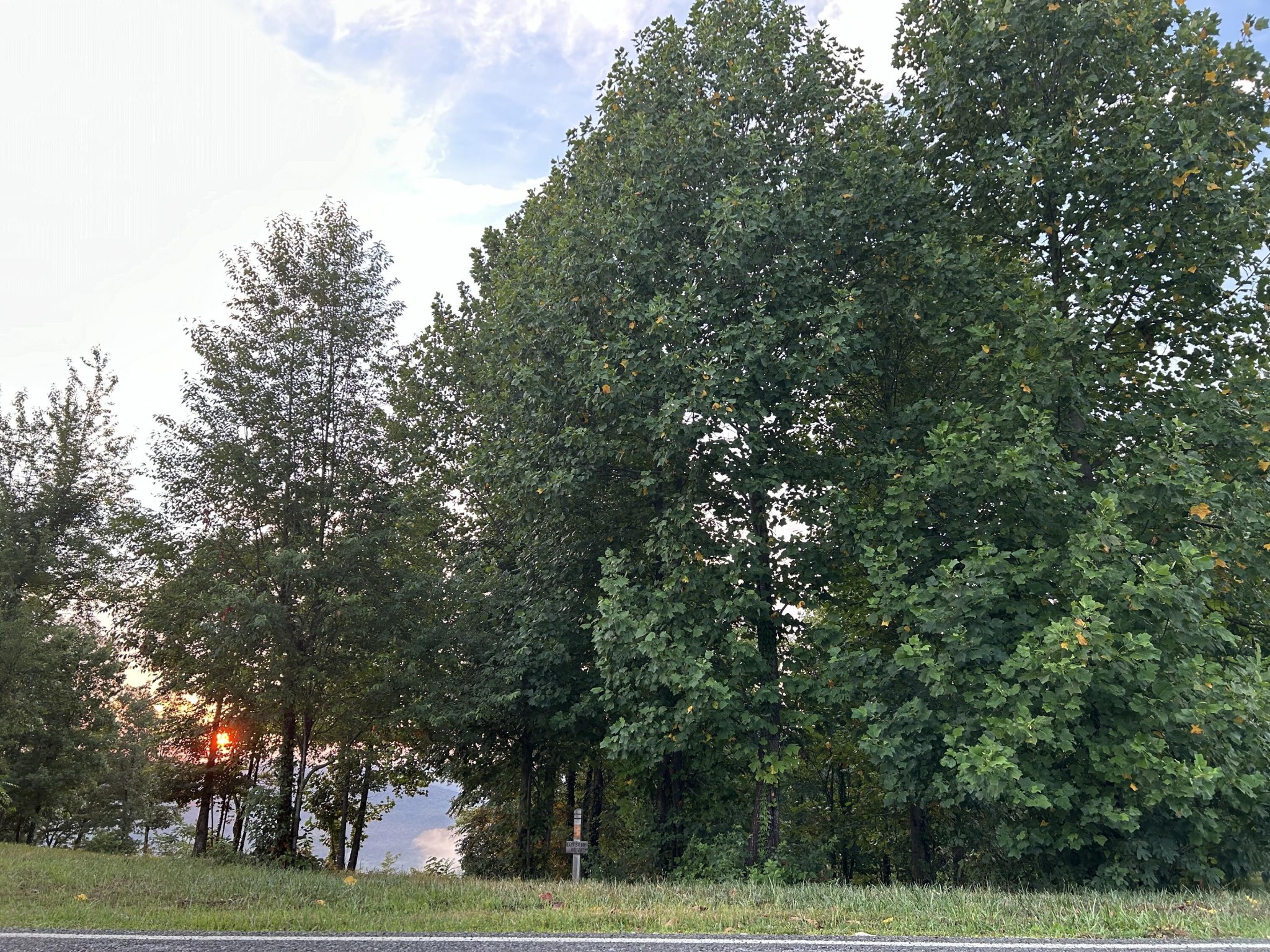 755 Sunset Circle Jasper, TN 37347 - Photo 4 of 44 a view of a yard