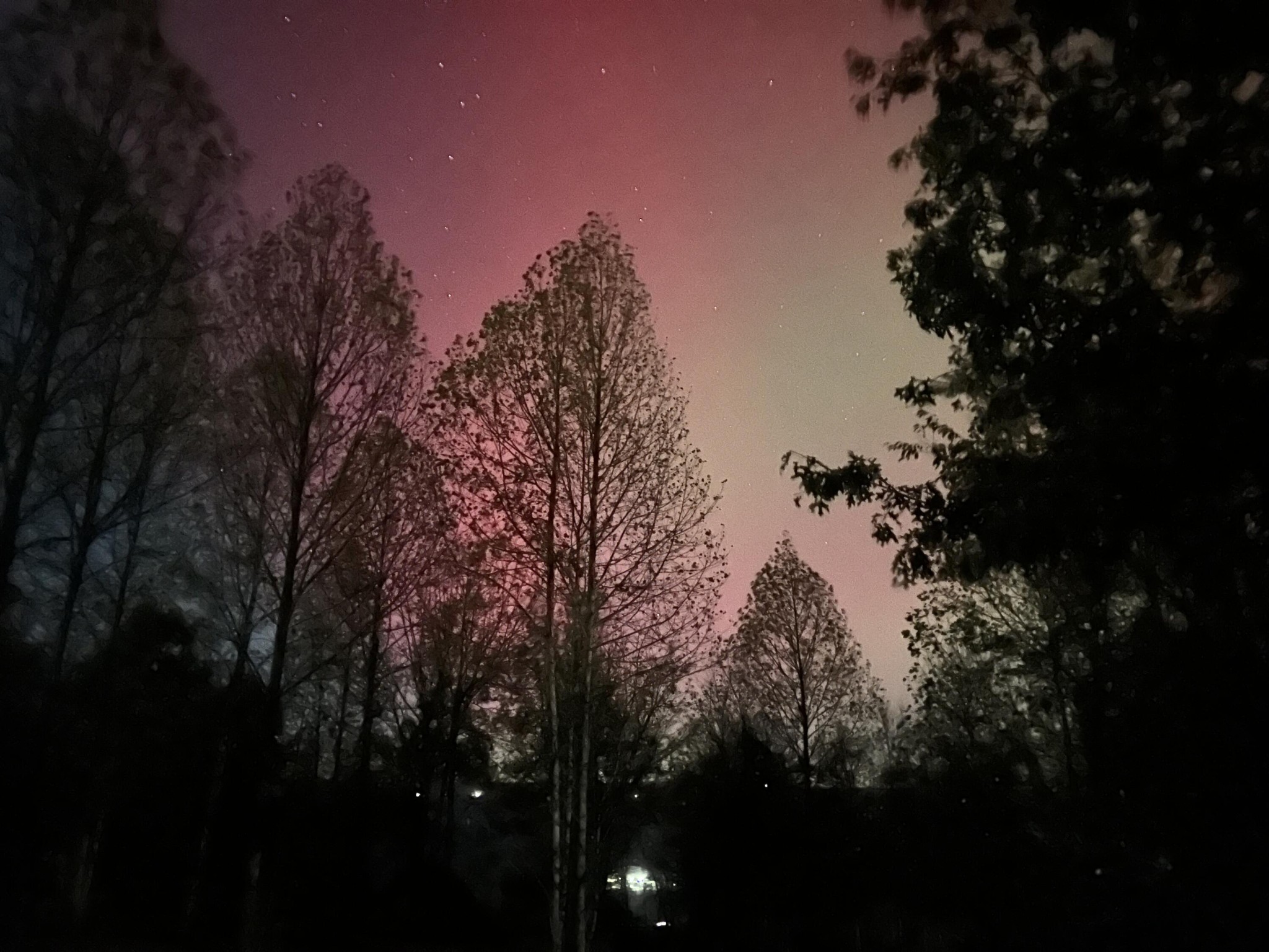 755 Sunset Circle Jasper, TN 37347 - Photo 43 of 44