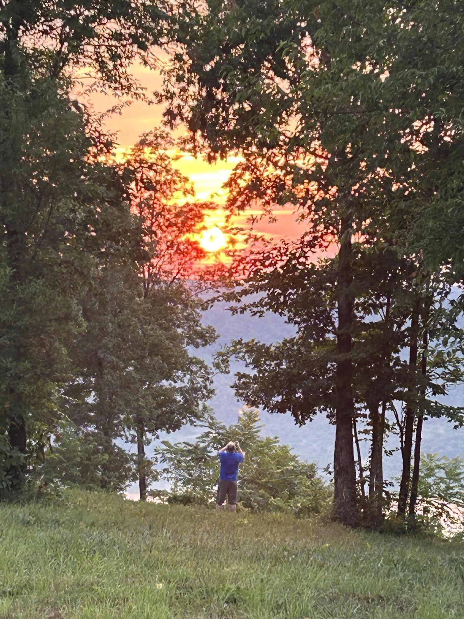 755 Sunset Circle Jasper, TN 37347 - Photo 7 of 44 a outdoor space with lots of bushes