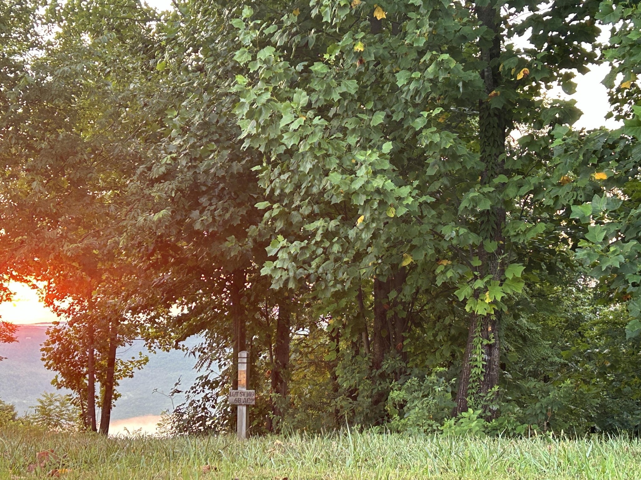 755 Sunset Circle Jasper, TN 37347 - Photo 8 of 44 a view of a tree