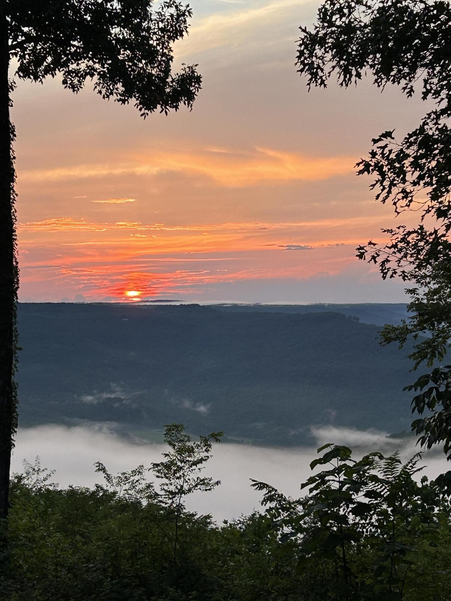 755 Sunset Circle Jasper, TN 37347 - Photo 10 of 44 a view of a lake